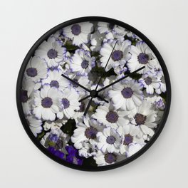 Cineraria White and Purple Wall Clock | Purple, Cineraria, Flowers, Blue, Flower, Pattern, Photo, White, Bloom, Pottedflower 