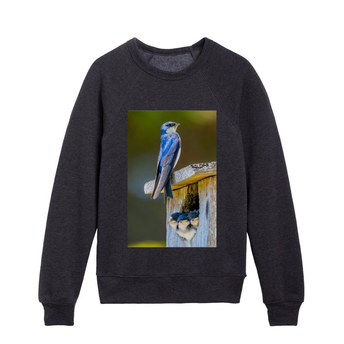 Swallow Family on a Box Nest - square image Kids Crewneck