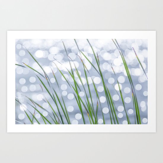 Bed of reeds Art Print