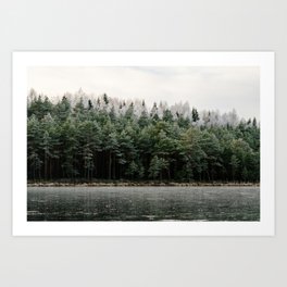 Frosty lake and trees Art Print