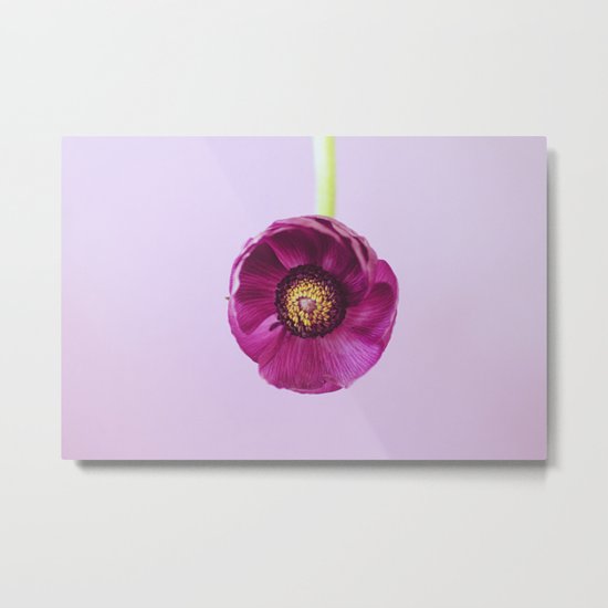 purple Metal Print