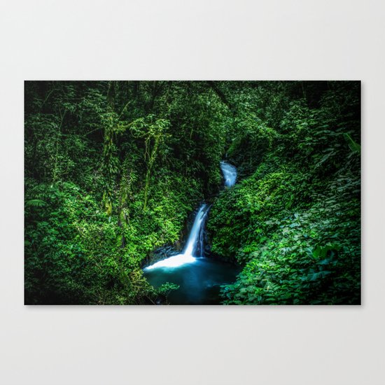 Jungle Waterfall Canvas Print