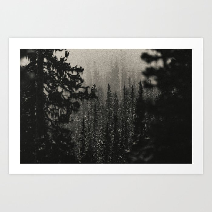 Pacific Northwest Forest in Black and White Art Print