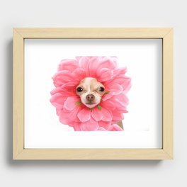 Chihuahua Flower Recessed Framed Print