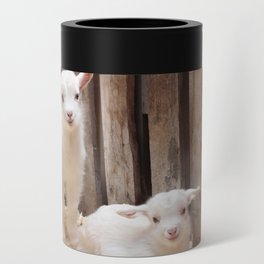 Two Small Newborn White Baby Goats  Can Cooler