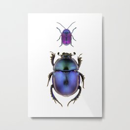 Two Blue Beetles Metal Print