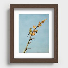 Bellbird on a flax branch Recessed Framed Print