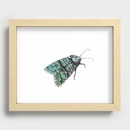 Moth Print Recessed Framed Print
