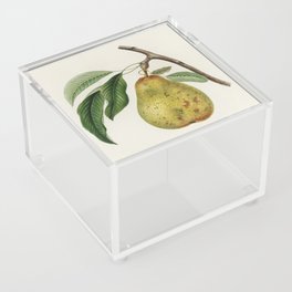 Pear Acrylic Box