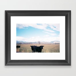 Cow Line Framed Art Print