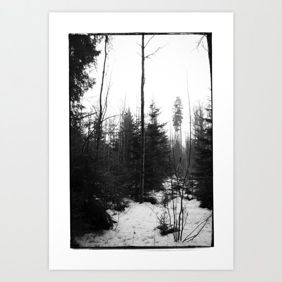 NORWEGIAN FOREST X Art Print