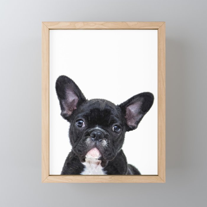French bulldog portrait Framed Mini Art Print