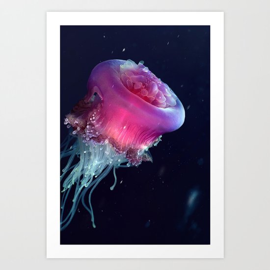 Jellyfish Art Print