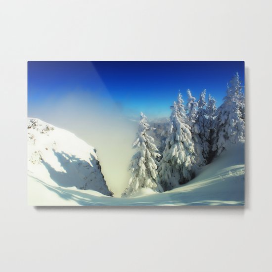 Frozen Top Metal Print