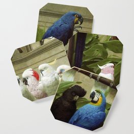 Hyacinth Macaw, Black Cockatoo, Cockatoos, Peach Cockatoo Select Committee by Henry Stacy Marks Coaster