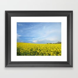  Yellow field of flowering rape - nature landscape photography  Framed Art Print