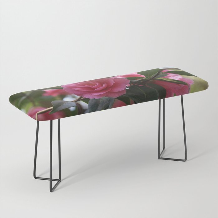 Pink Camellia Bench