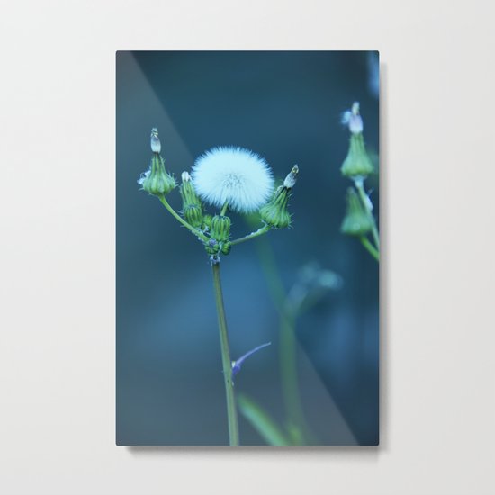 One More Wish (Blue) Metal Print