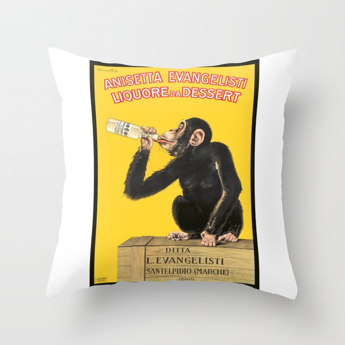 Throw Pillow