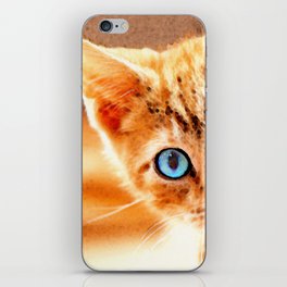 Peek A Boo Orange Tabby Cat With Blue Eyes iPhone Skin