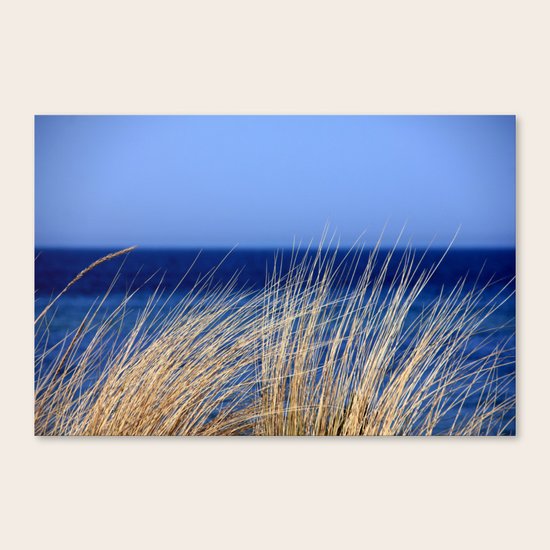 blue Canvas Print