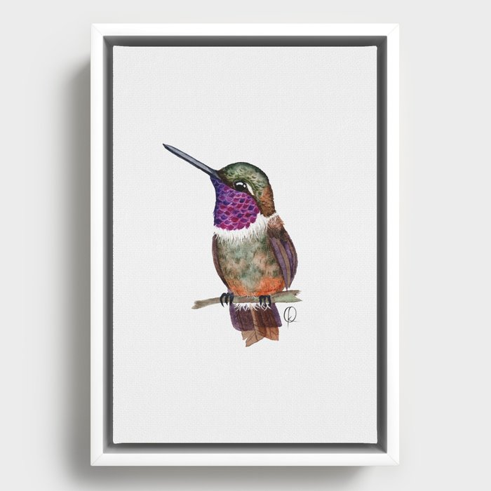 Cute Purple Hummingbird Framed Canvas