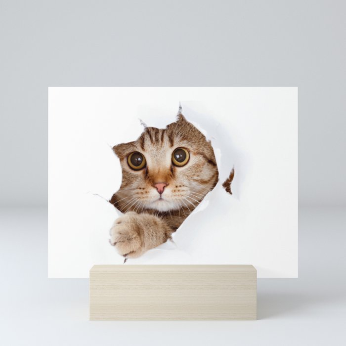 Cute and Funny Cat Breaking A Wall Mini Art Print