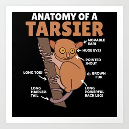 Cute Tarsier Anatomy Of A Tarsier Explanation Art Print