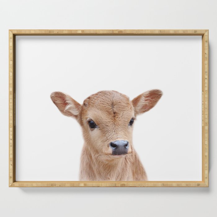 Baby Cow, Calf, Farm Animals, Art for Kids, Baby Animals Art Print By Synplus Serving Tray