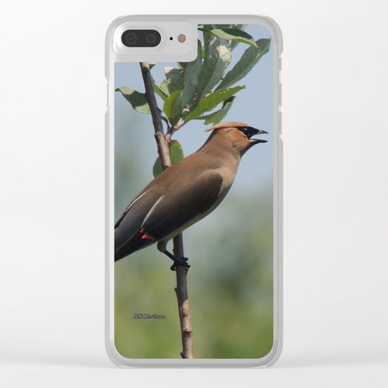 Cedar Waxwing at Hillsboro Pond Clear iPhone Case
