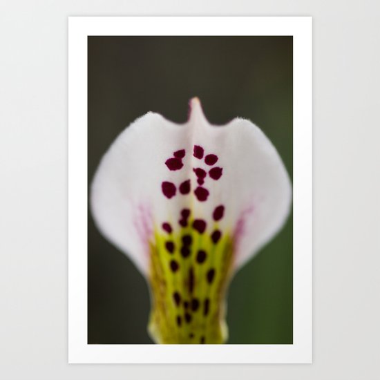 Grace Art Print