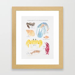 Complexity of Crustaceans Framed Art Print