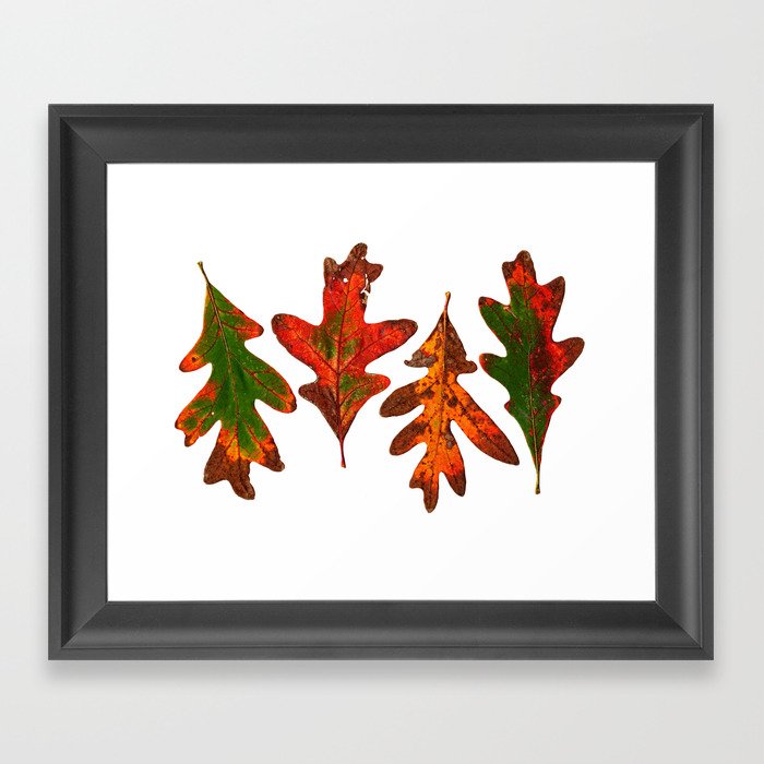 Fall Leaves Mother Nature Framed Art Print