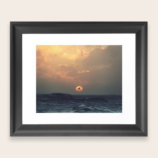 Seagull Silhouette Framed Art Print