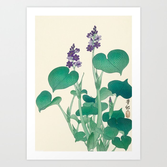 Ohara Koson, Blooming Purple Hostas - Japanese Vintage Woodblock Print Art Print