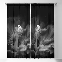 Love Your Solitude Blackout Curtain