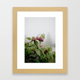 Lilac in Spring Framed Art Print