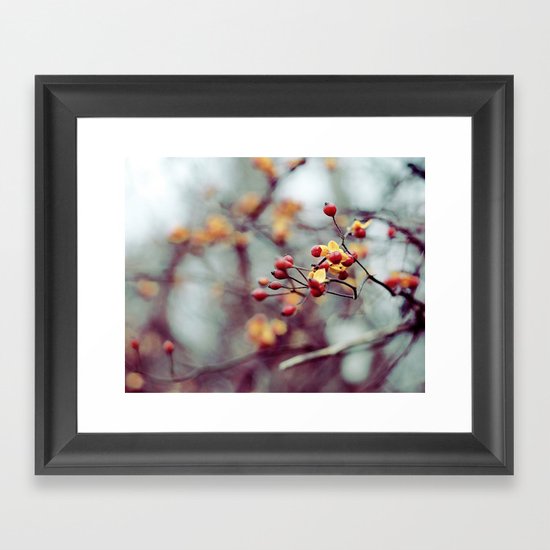 Frozen Fruit Framed Art Print