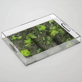 Jungle Glitch Distortion Acrylic Tray