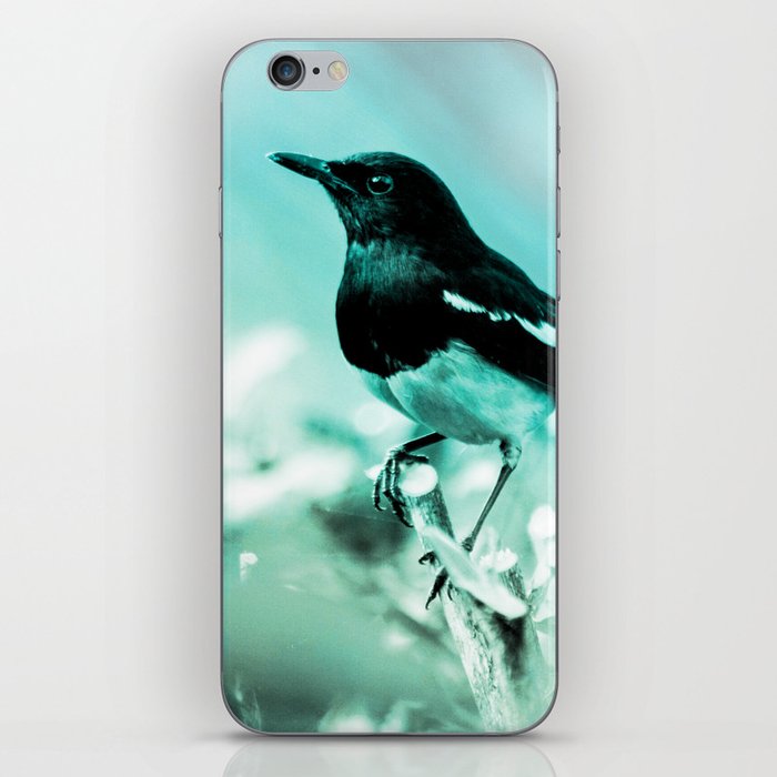 jay turquoise aesthetic wildlife art altered photography iPhone Skin