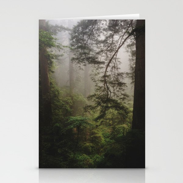Foggy Forest Stationery Cards