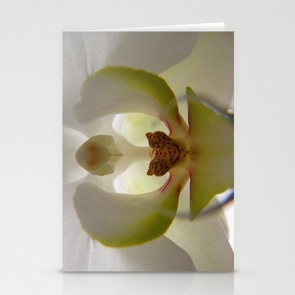 .delicate orchid. Stationery Cards