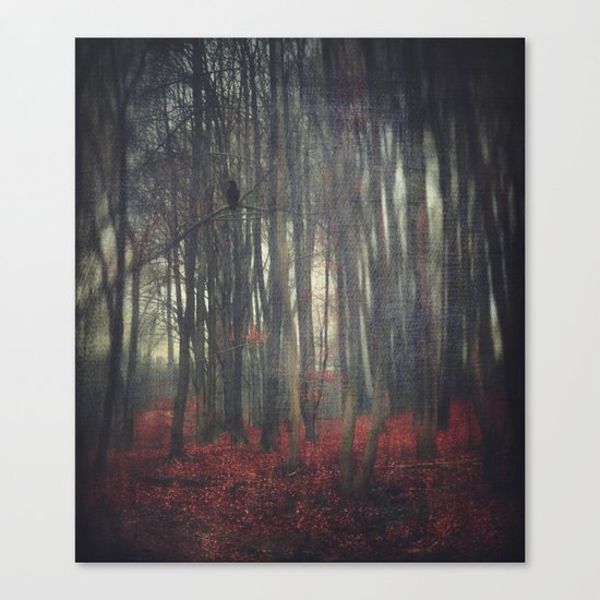 ordinary day Canvas Print