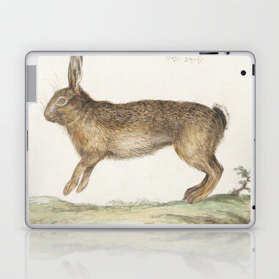 Hare, Lepus Europaeus Laptop & iPad Skin