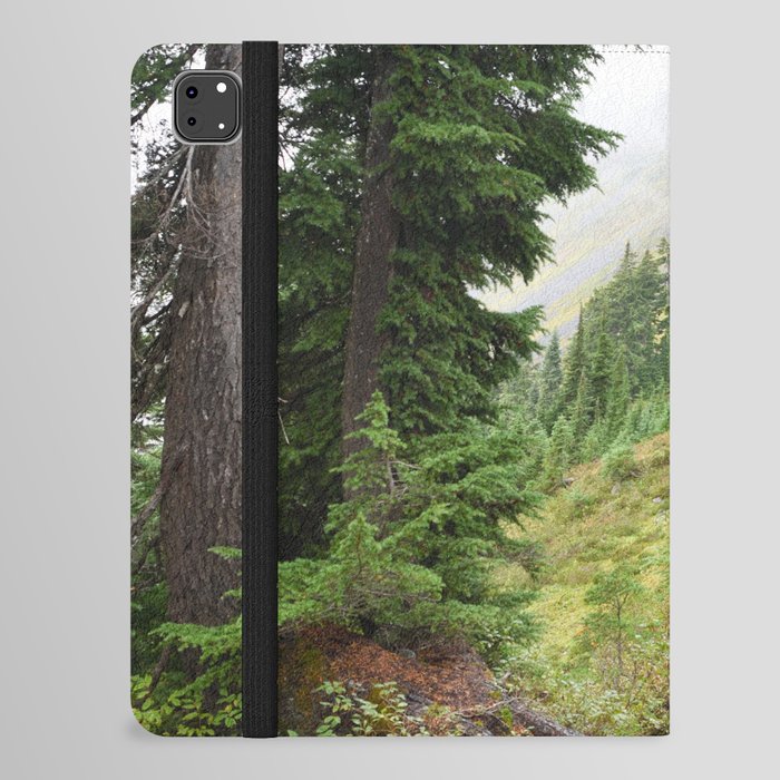 Alpine Ridgeline Trail Woods Forest Mountain Mist Washington Mount Baker Northwest Outdoors Nature W iPad Folio Case
