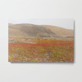 Vandy Metal Print | Landscape, Vandenberg, Minuteman, Scenery, Centralcoast, Mountain, Fall, Santamaria, Mountains, Pacifichighway 