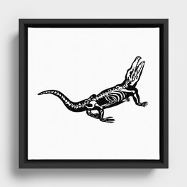 x-ray gator Framed Canvas
