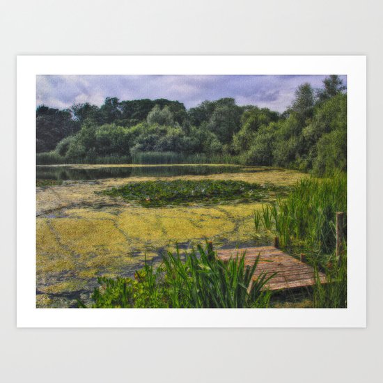 Serene Art Print