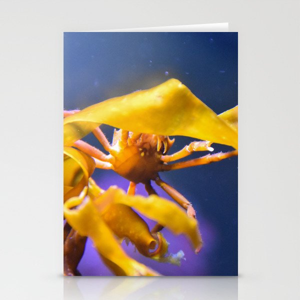 Ride The Bull Kelp… One More Time Stationery Cards