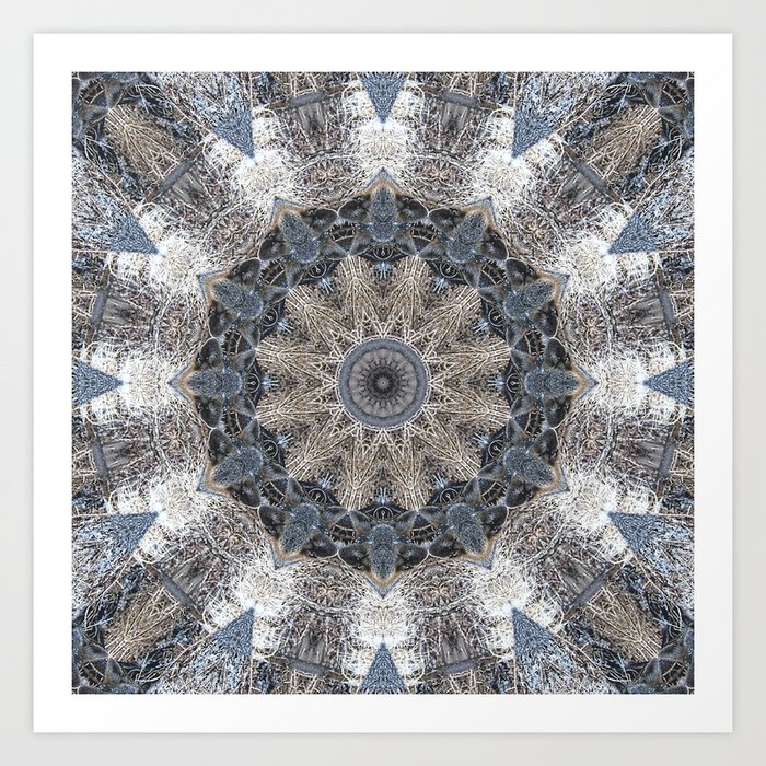 Fox 4 Kaleidoscope Mandala Chakra Art Print